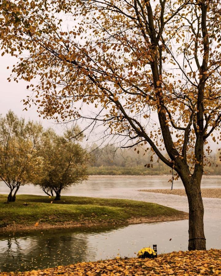 Banja Koviljača Drinska Laguna 아파트 외부 사진