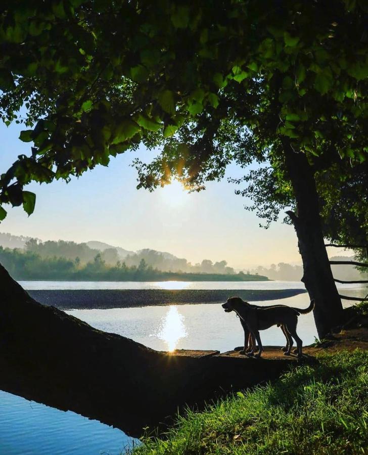 Banja Koviljača Drinska Laguna 아파트 외부 사진